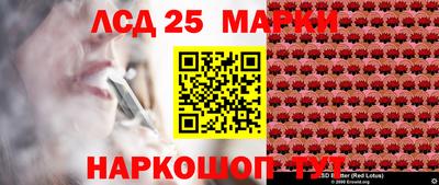 PSILOCYBIN Нальчик