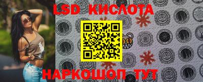 PSILOCYBIN Нальчик