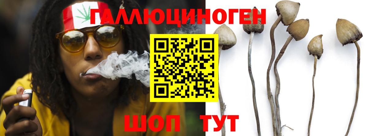 Псилоцибиновые грибы мухоморы  Псилоцибиновые грибы прущие грибы  Вход с VPN  Старый Оскол 